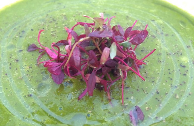 Sweet Potato and Spinach Soup